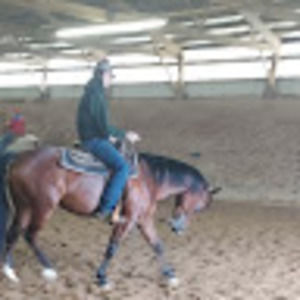 Meet your Posher, Joe